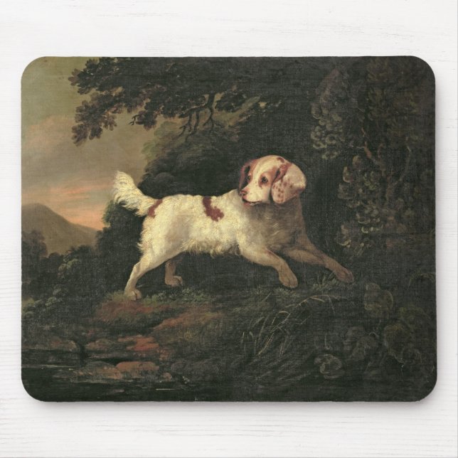 Mousepad Estudo do Spaniel de Clumber (Frente)
