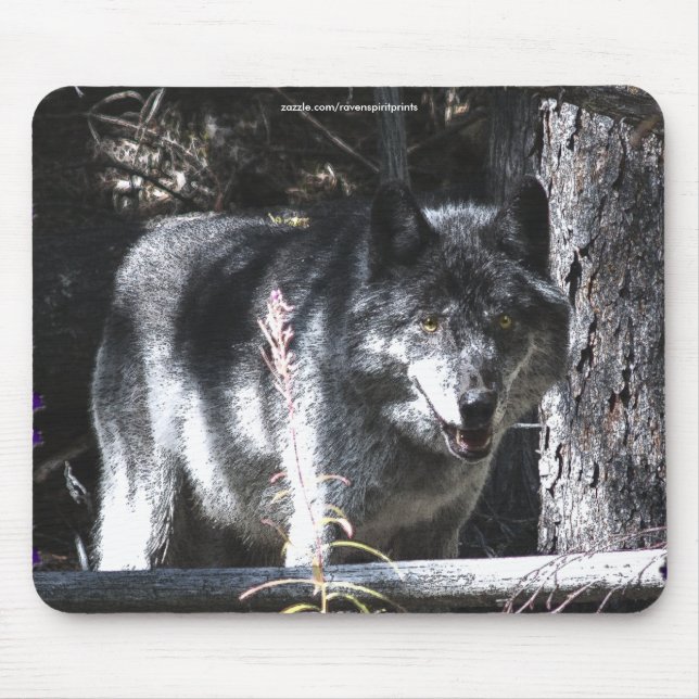 Mousepad Estudo do Wolf da cinza (Frente)