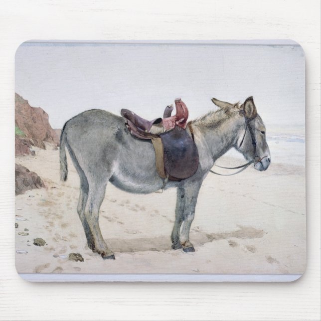 Mousepad Estudos dos animais (Frente)