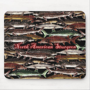 Mousepad Esturjão do tapete do rato de America do Norte