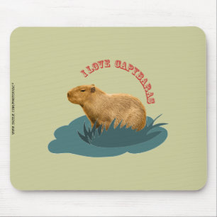 Mousepad Eu amo capivaras
