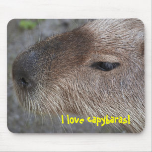 Mousepad Eu amo capivaras