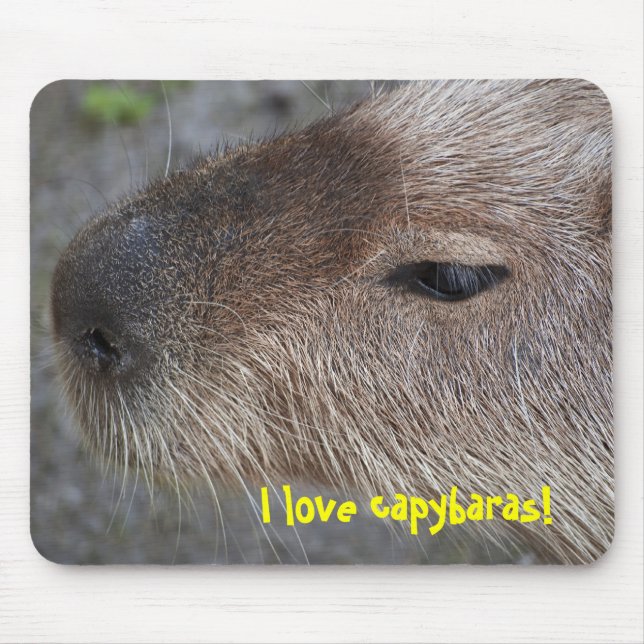 Mousepad Eu amo capivaras (Frente)