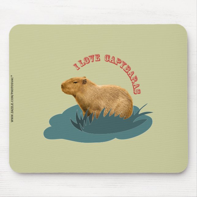Mousepad Eu Amo Capivaras Amante de Capivara Fofa (Frente)