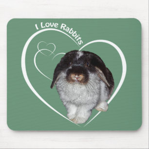 Mousepad Eu Amo Coelhos Mousemat (Verde)