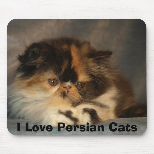 Mousepad Eu amo gatos persas (Frente)