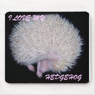 MOUSEPAD EU AMO MEU TAPETE DO RATO DO OURIÇO