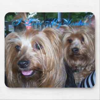 Mousepad Eu amo meu Yorkies