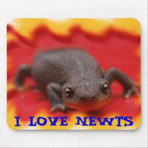 Mousepad Eu Amo Newts