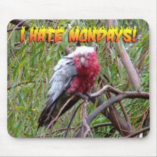 Mousepad Eu deio segundas-feiras