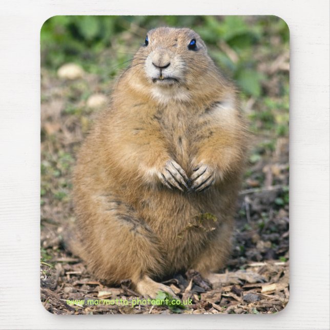 Mousepad Eu não sou gordo, mim sou Mousemat peluches (Frente)