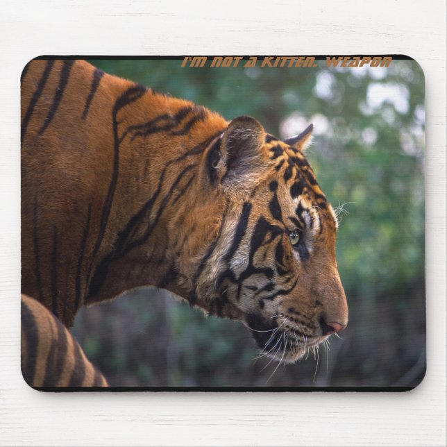 Mousepad Eu não sou um gatinho. Arma - o tigre (Frente)