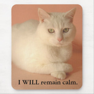 Mousepad EU permanecerei calmo