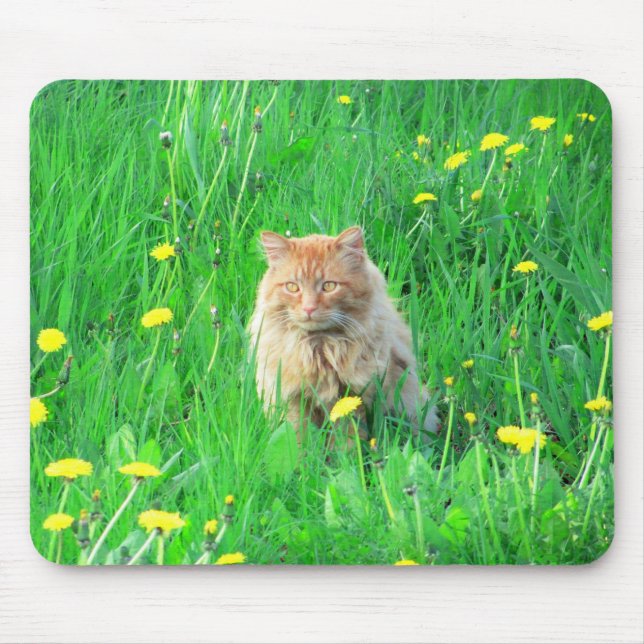 Mousepad Eu sou um leão dandy (Frente)