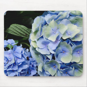 Mousepad EUA, Alabama, Theodore Perto de Mobile 2
