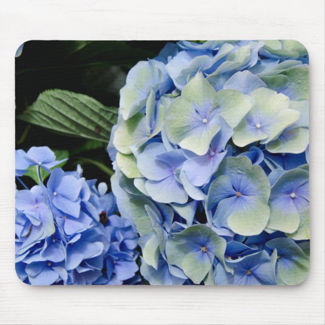 Mousepad EUA, Alabama, Theodore Perto de Mobile 2 (Frente)