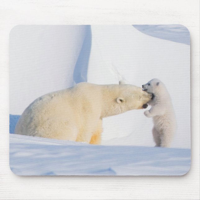 Mousepad EUA, Alasca, North Slope | Ursos Polares (Frente)