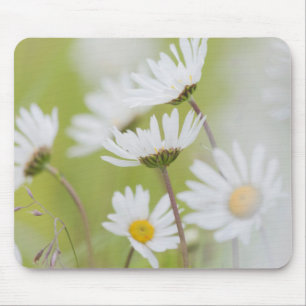 Mousepad EUA, Alasca, Parque Nacional Glacier Bay