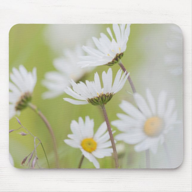 Mousepad EUA, Alasca, Parque Nacional Glacier Bay (Frente)