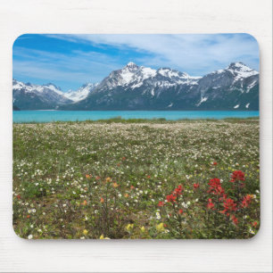 Mousepad EUA, Alasca, Parque Nacional Glacier Bay 2