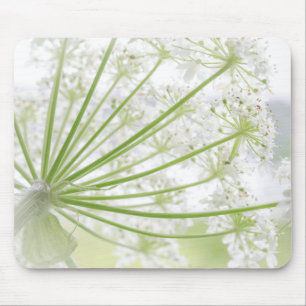 Mousepad EUA, Alasca, Parque Nacional Glacier Bay 3