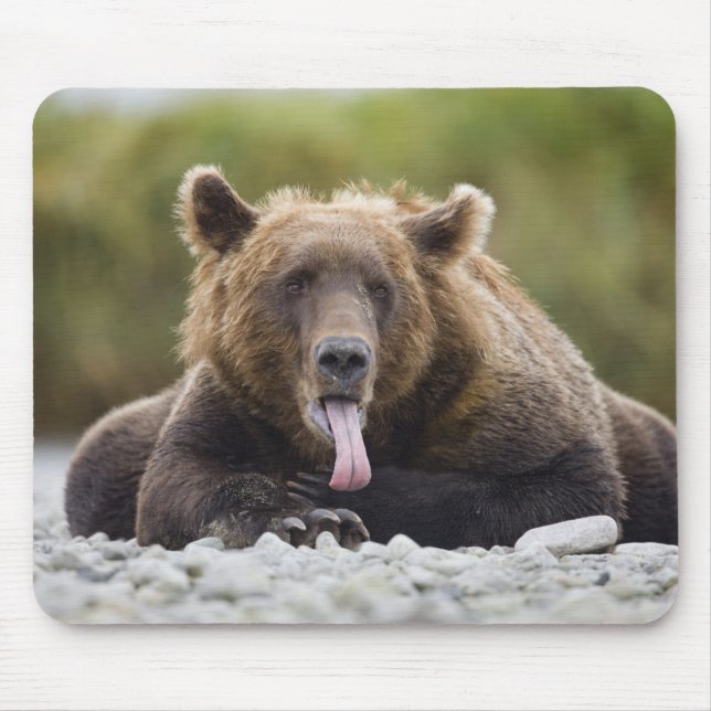 Mousepad EUA, Alasca, Parque Nacional Katmai, Kukak Bay, (Frente)