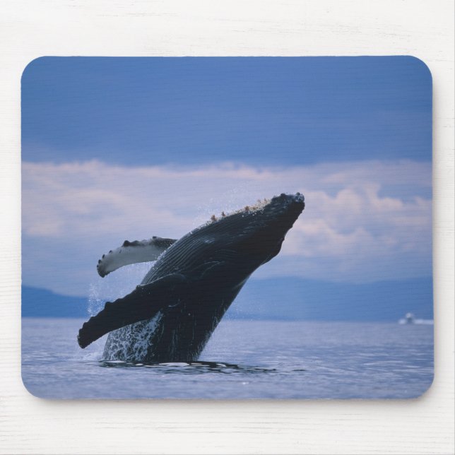 Mousepad EUA, Alaska, Floresta Nacional de Tongass, Humpbac (Frente)