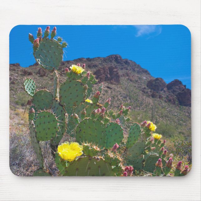 Mousepad EUA, Arizona. Cacto Nas Colinas (Frente)