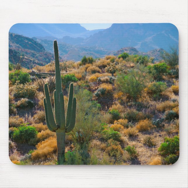 Mousepad EUA, Arizona. Desert View (Frente)