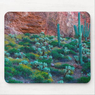 Mousepad EUA, Arizona. Flora do Deserto