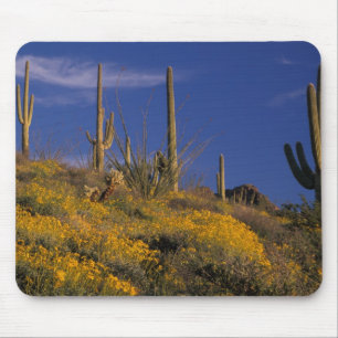 Mousepad EUA, Arizona, Organ Pipe Cactus National 2