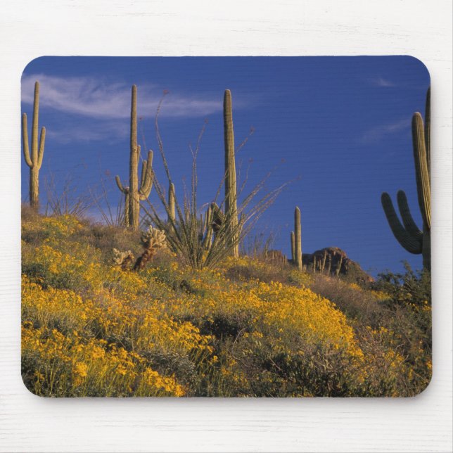 Mousepad EUA, Arizona, Organ Pipe Cactus National 2 (Frente)