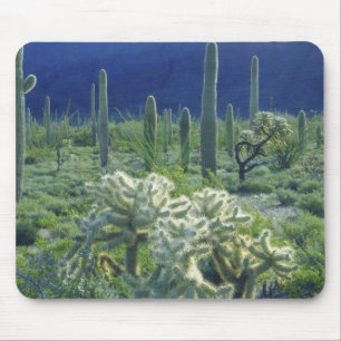 Mousepad EUA, Arizona, Parque Nacional do Cacto Organ Pipe