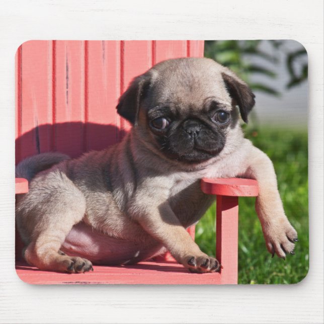 Mousepad EUA, Califórnia. Cachorrinho Pug Relaxado (Frente)