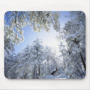 Mousepad EUA, Califórnia, Cleveland National Forest,