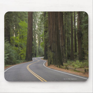 Mousepad EUA, Califórnia, estrada através da floresta da