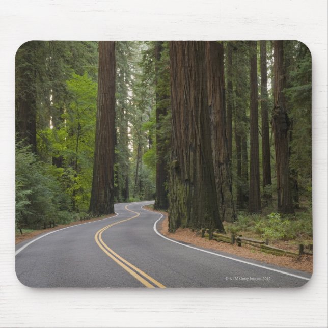 Mousepad EUA, Califórnia, estrada através da floresta da (Frente)
