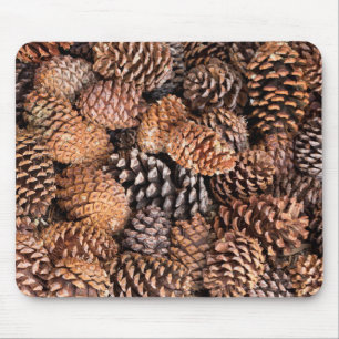 Mousepad EUA, Califórnia, Floresta Nacional de Inyo