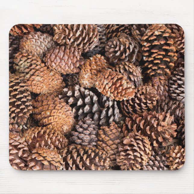 Mousepad EUA, Califórnia, Floresta Nacional de Inyo (Frente)