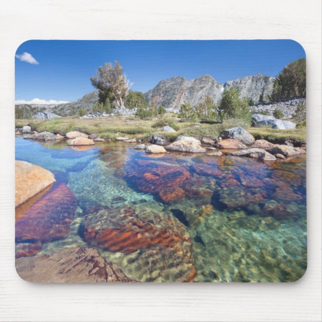 Mousepad EUA, Califórnia, Floresta Nacional Inyo 4 (Frente)