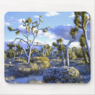 Mousepad EUA, Califórnia, Parque Nacional Joshua Tree. 2
