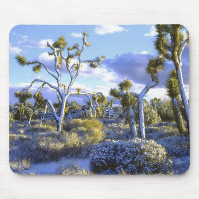 Mousepad EUA, Califórnia, Parque Nacional Joshua Tree. 2 (Frente)