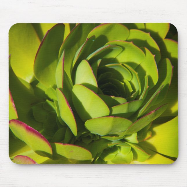 Mousepad EUA, Califórnia. Planta de Lobelia Gigante Fechada (Frente)