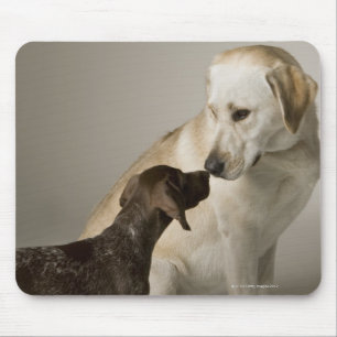 Mousepad EUA, Califórnia, San Francisco