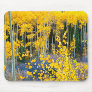 Mousepad EUA, Colorado. Álamo Amarelo Brilhante nas Montanh