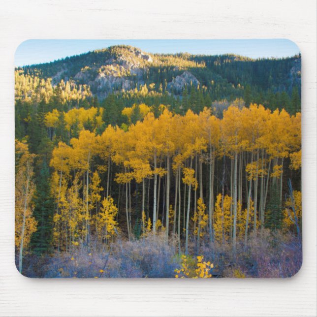 Mousepad EUA, Colorado. Aspas Amarelas Brilhantes em Rockie (Frente)