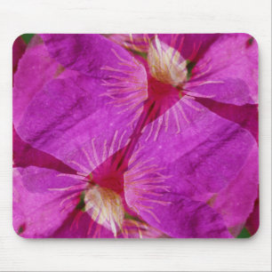 Mousepad EUA, Colorado, Boulder. Montagem de flores de Clem
