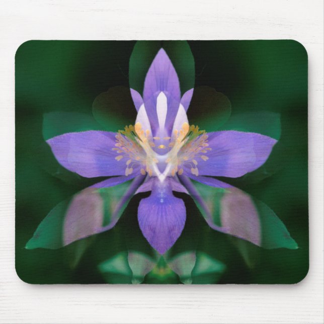 Mousepad EUA, Colorado, Condado de Boulder (Frente)