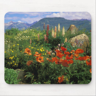 Mousepad EUA, Colorado, Crested Butte. Papoulas e lupino