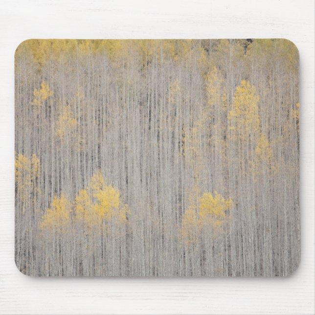 Mousepad EUA, Colorado, Floresta Nacional White River. (Frente)